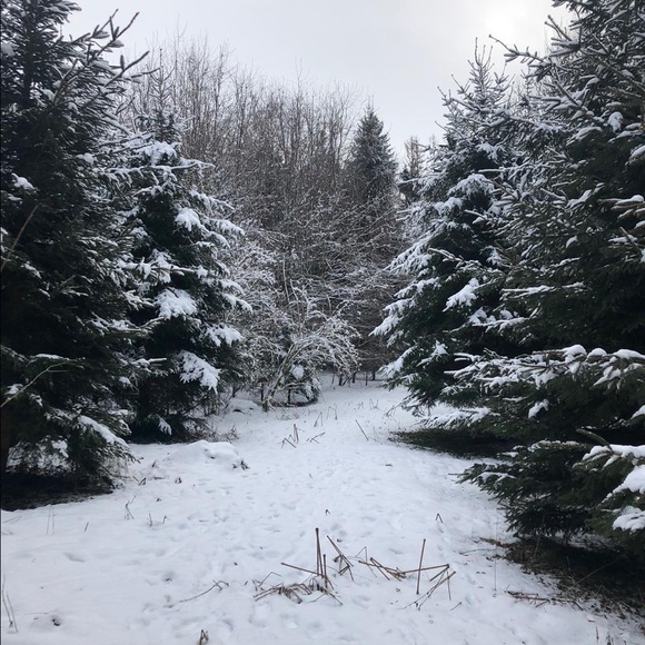 Meet your Posher, Anya - Picture 4 of 13